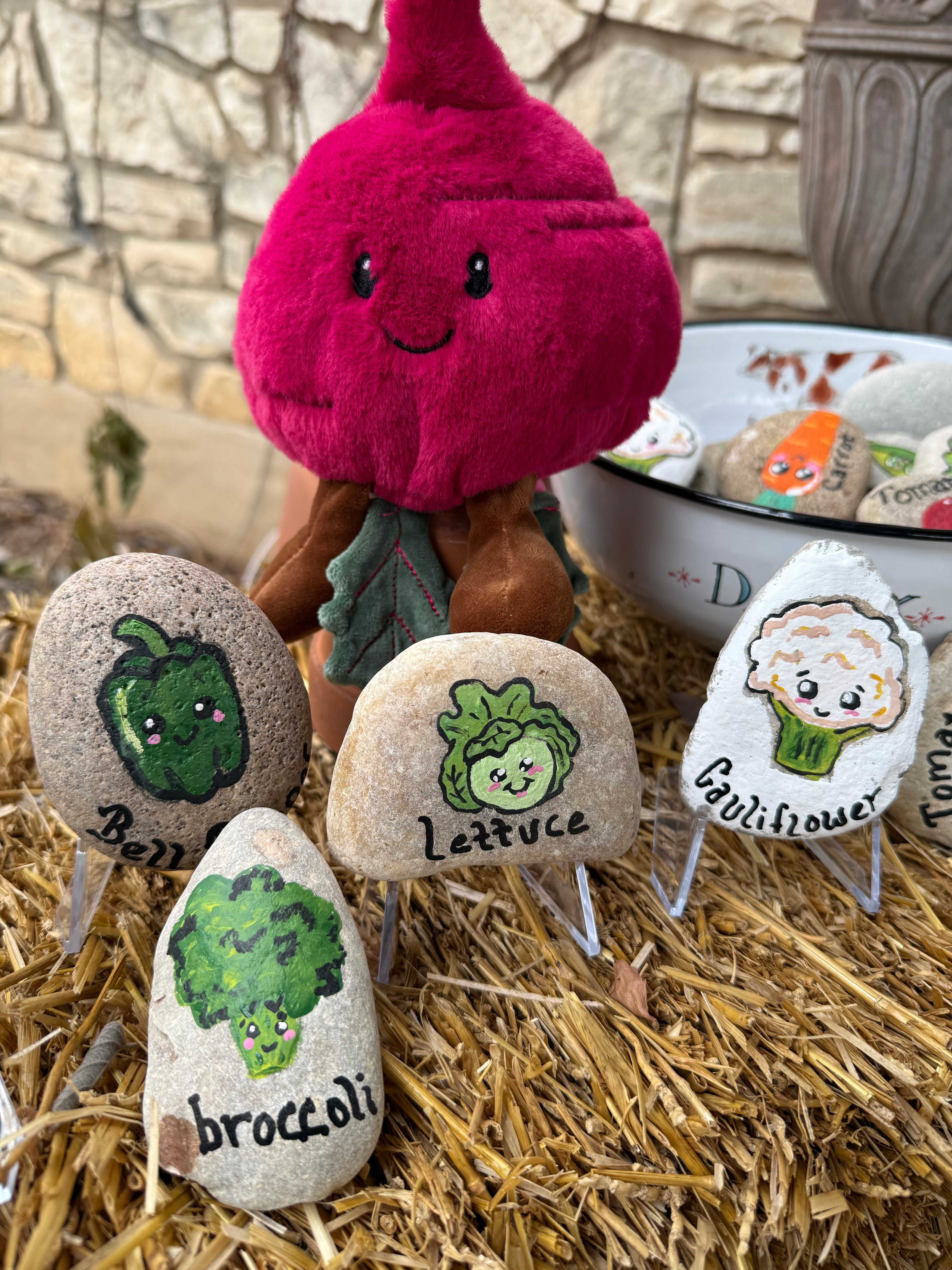 Vegetable Garden Rocks