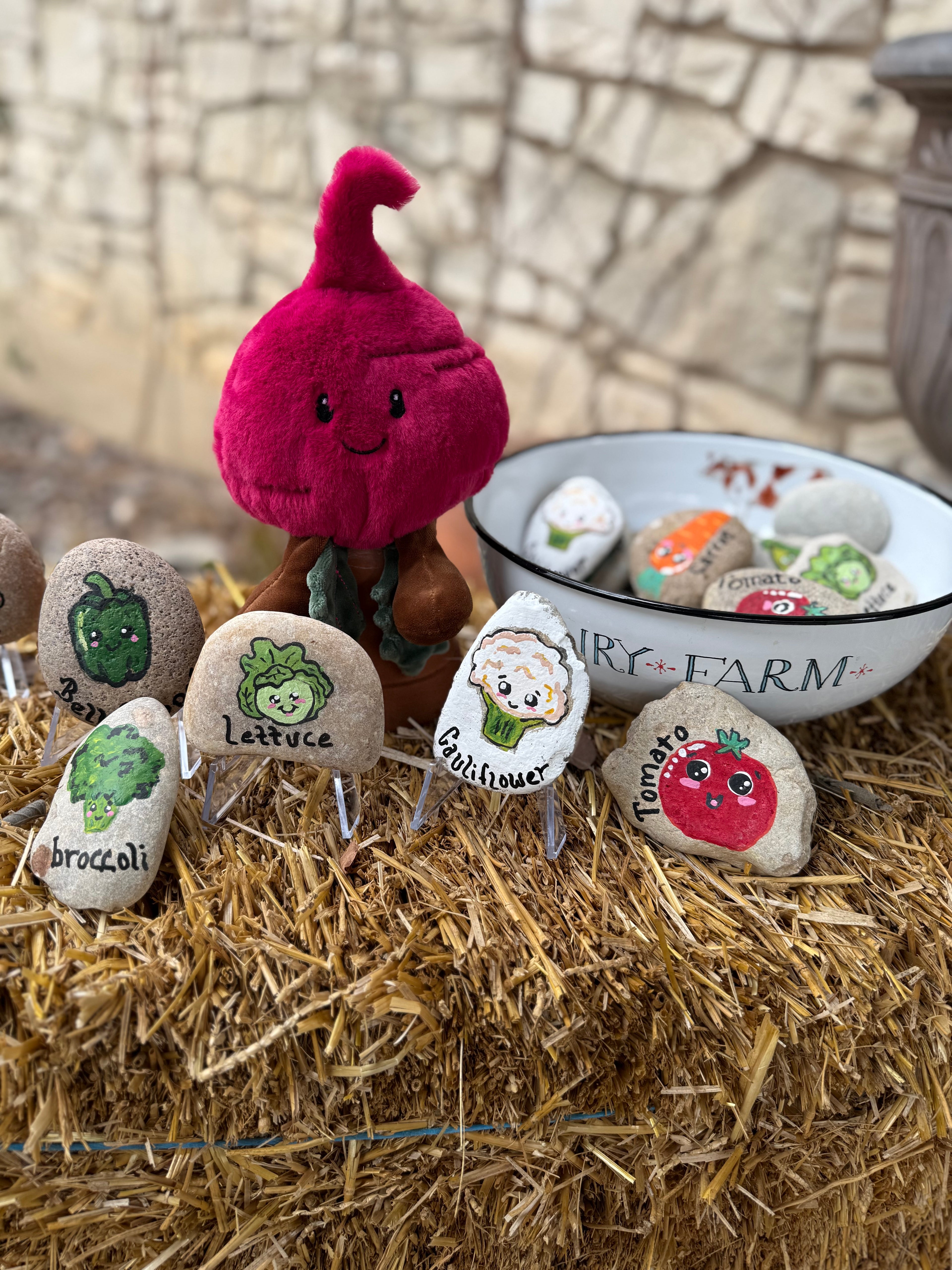 Vegetable Garden Rocks