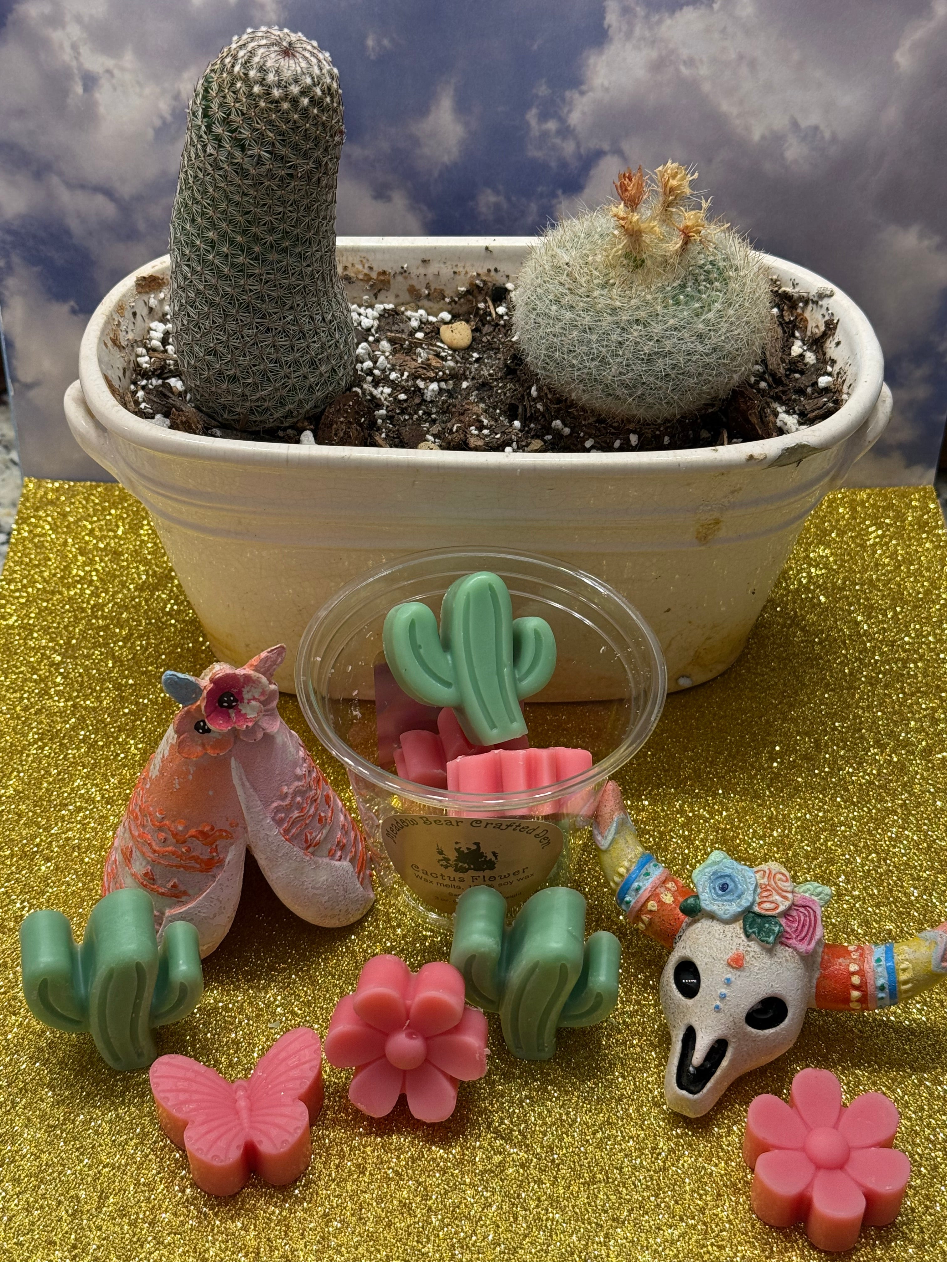 Cactus  Flower Wax Melts