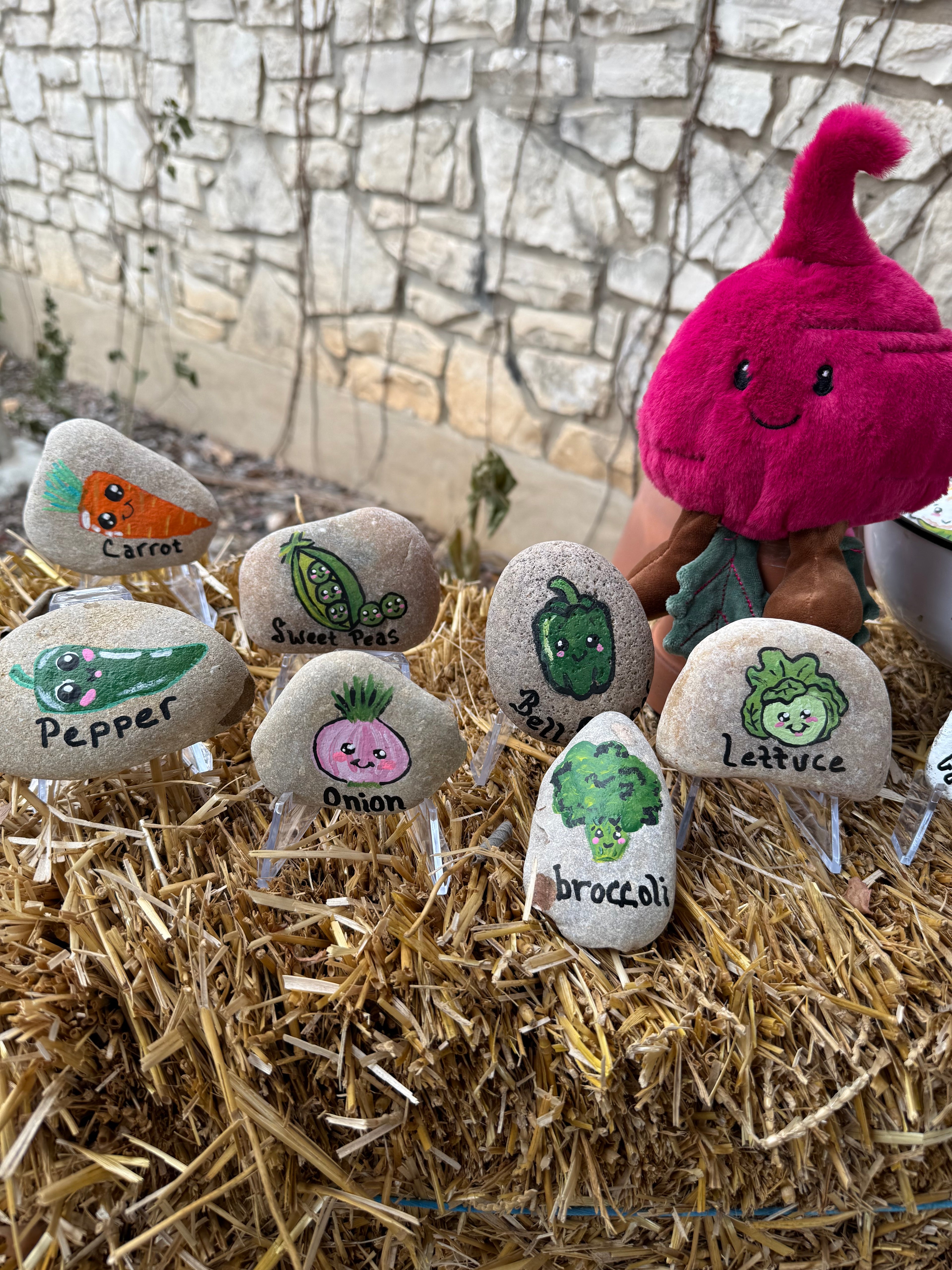 Vegetable Garden Rocks