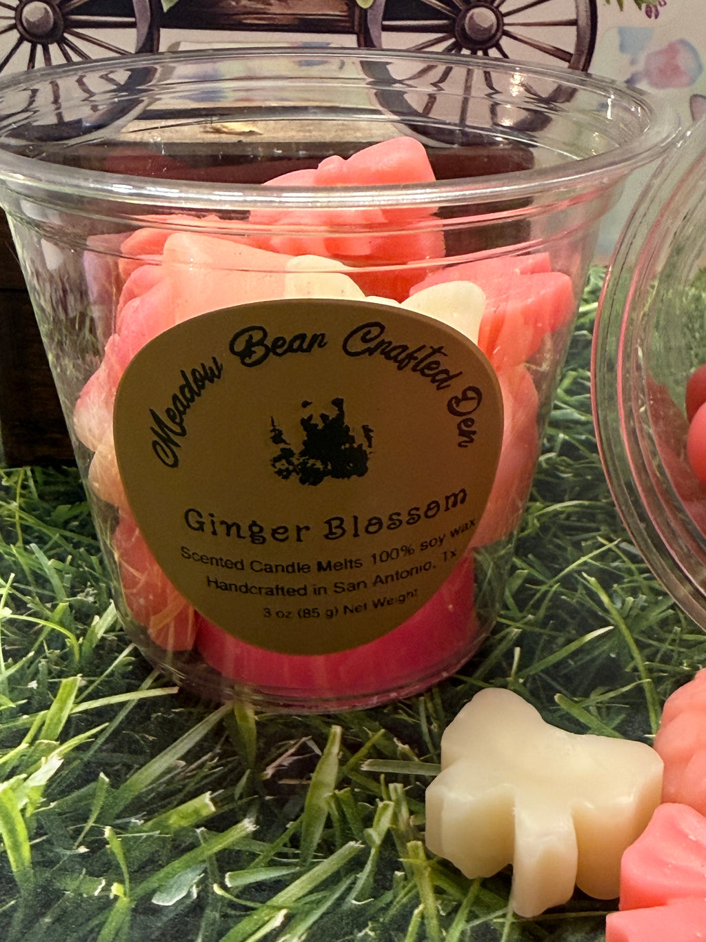 Ginger Blossom wax melts