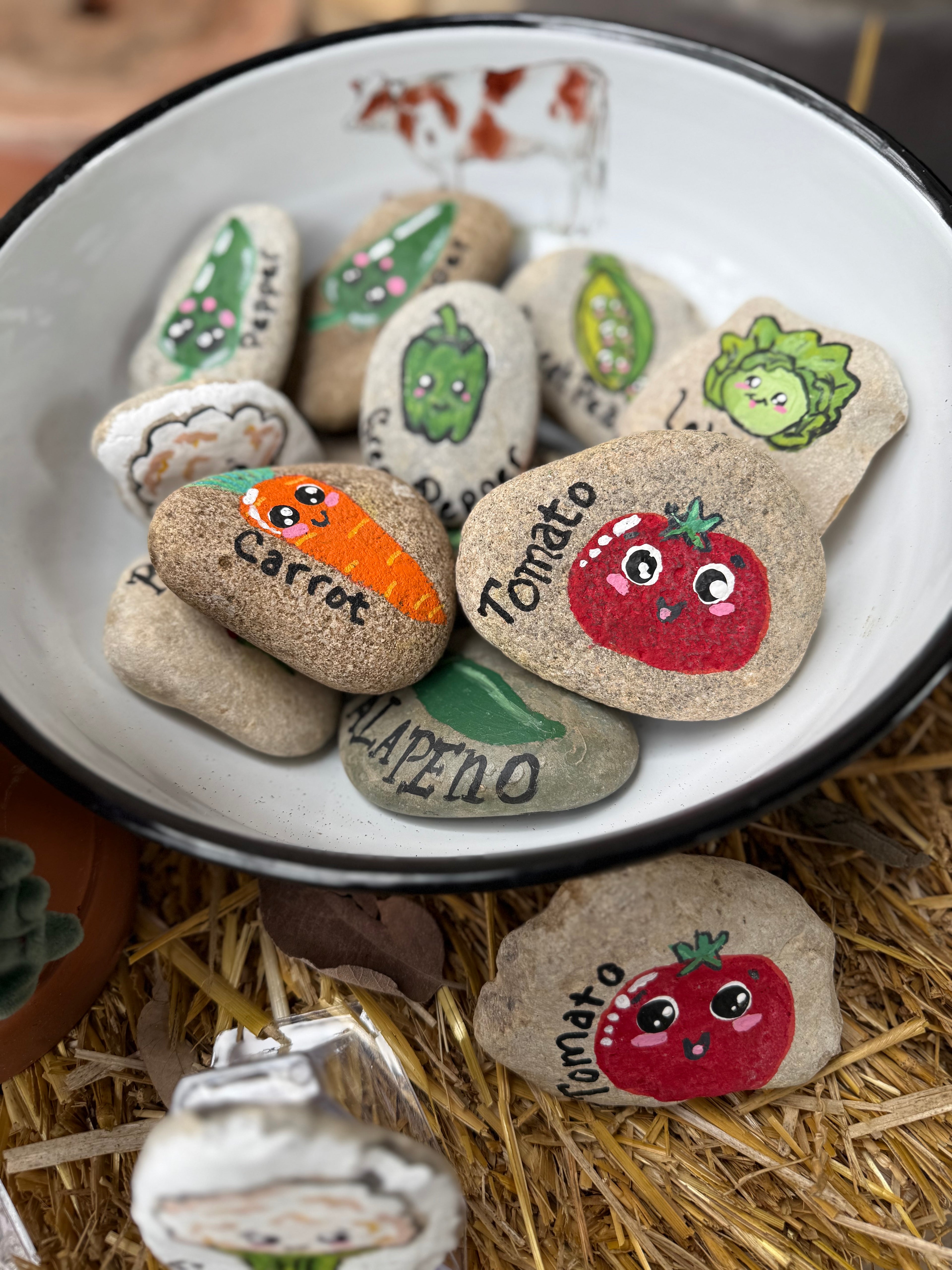 Vegetable Garden Rocks